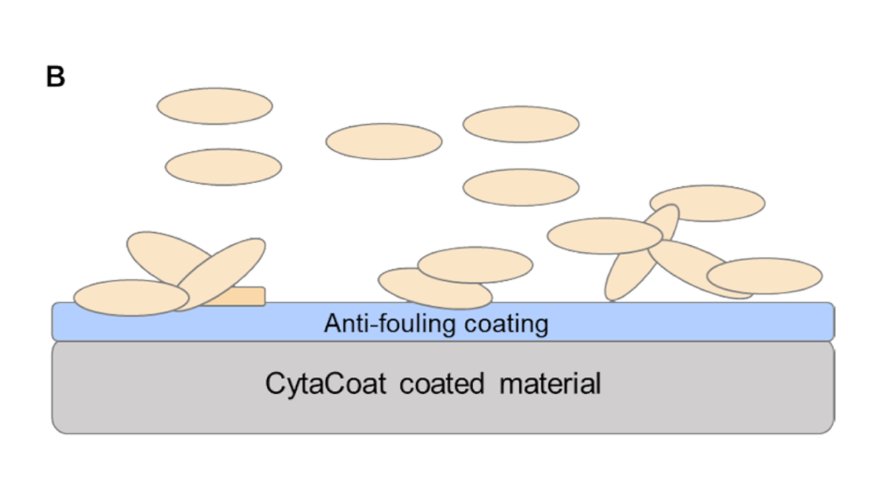 Technology | Cytacoat